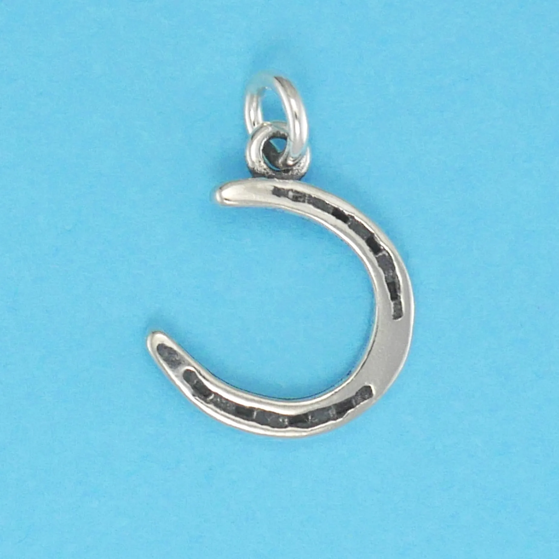 Horse Shoe Charm