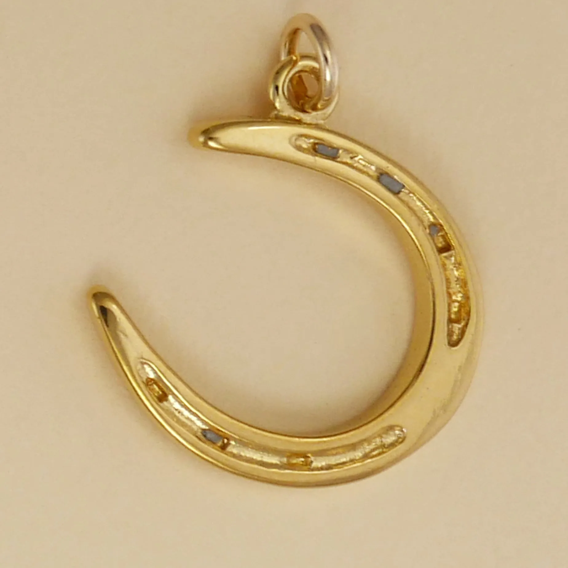 Horse Shoe Charm
