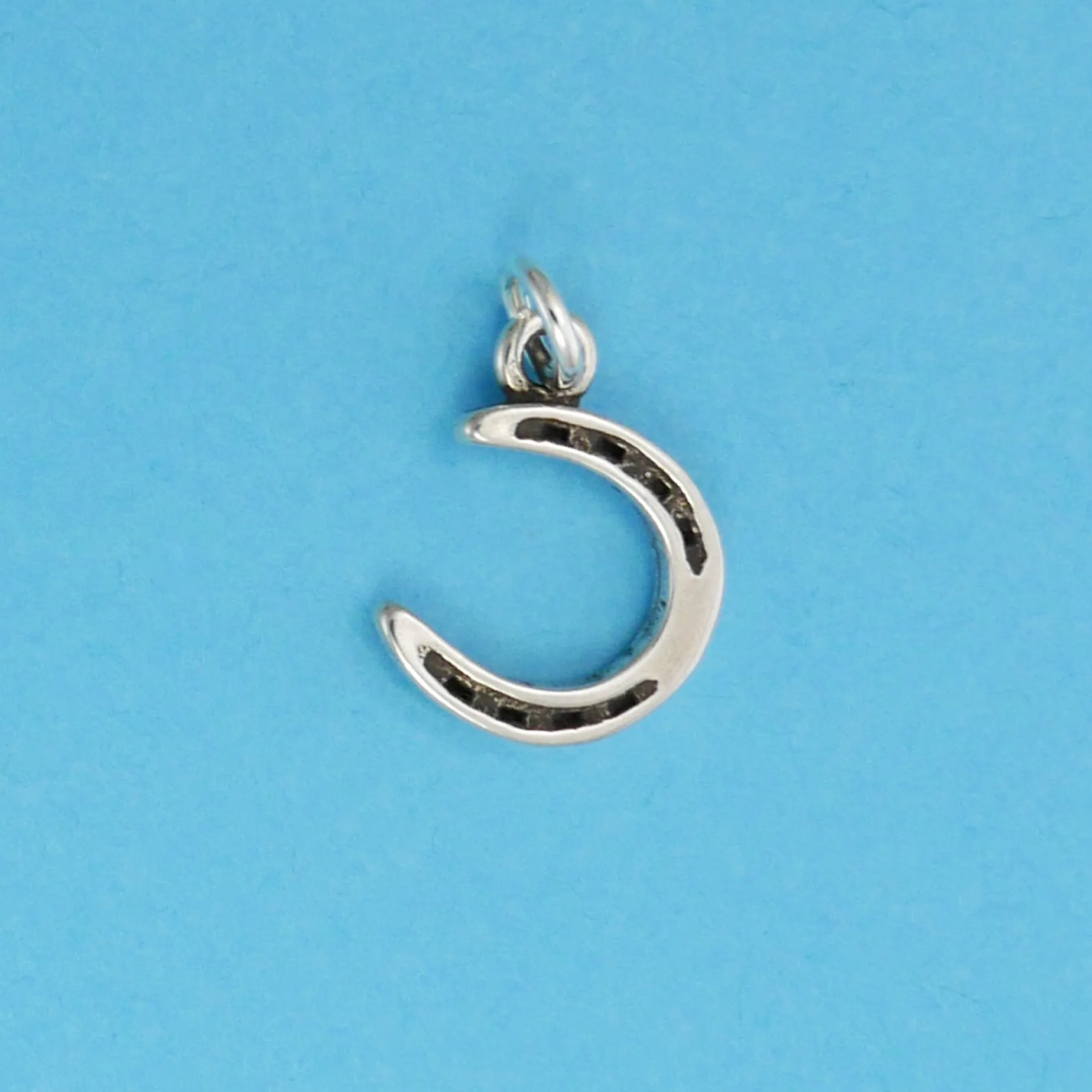Horse Shoe Charm