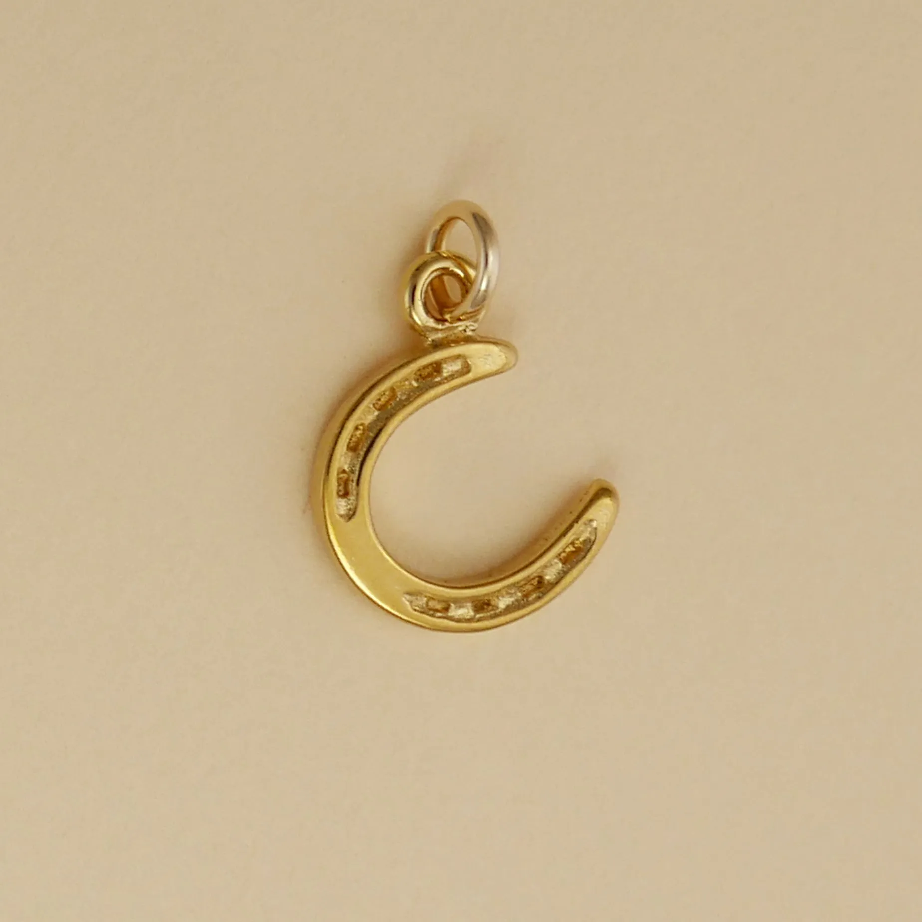 Horse Shoe Charm