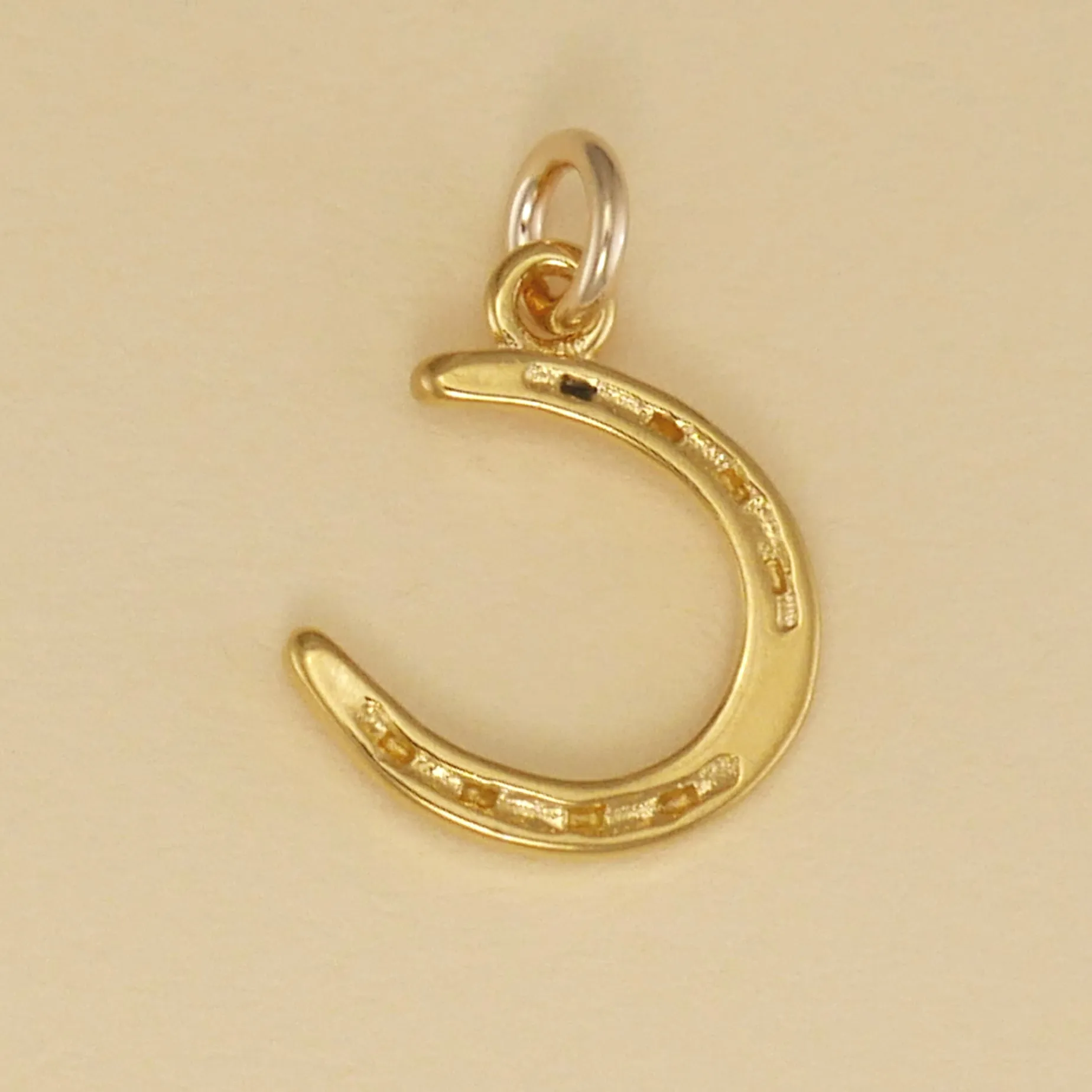 Horse Shoe Charm