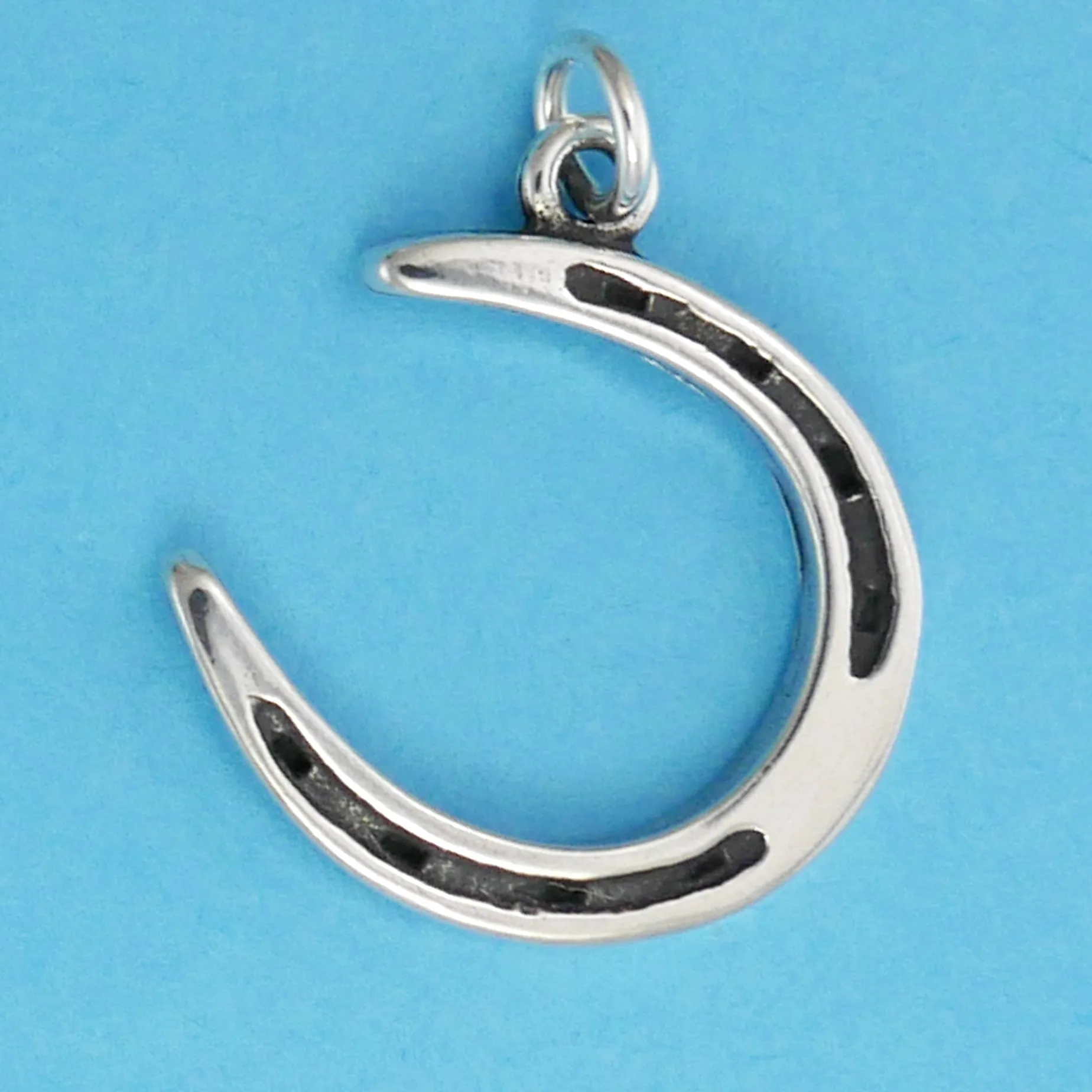 Horse Shoe Charm
